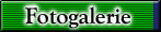 Zur Fotogalerie
